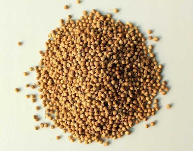 香料芫荽籽一些不为大众知晓的用途,它可不仅是一种佐料那么简单|芫荽