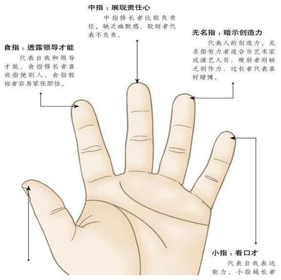 麻衣手相有这种手相的人一眼便知是天生富贵和偏财旺盛