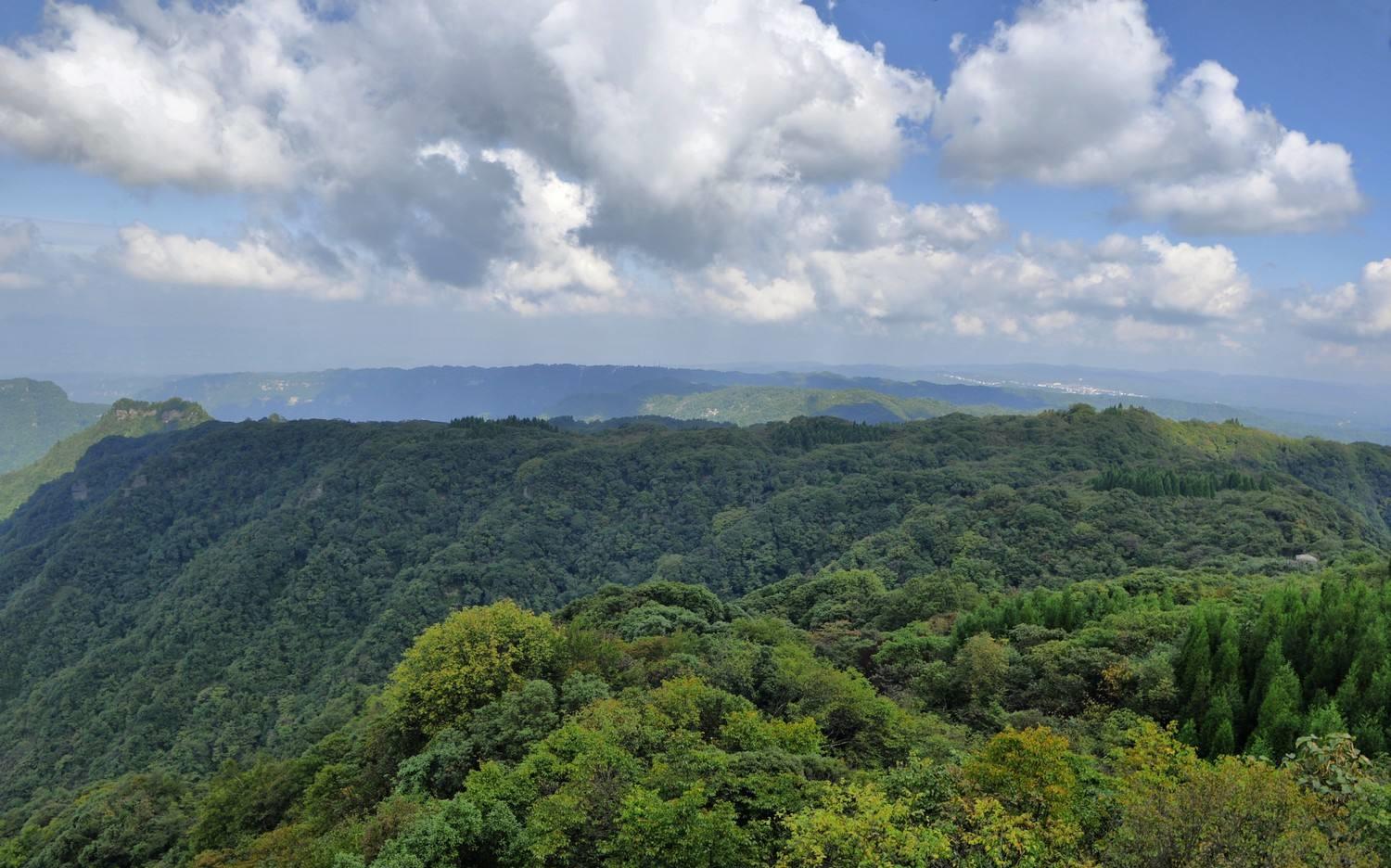 重庆被忽略的森林公园,号称中国森林氧吧,是国家级森林公园_高清图集