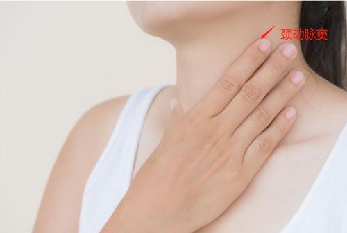 看着夫妻两个不解的样子,姜医生说:"每个人的脖子上,都有颈动脉窦,在