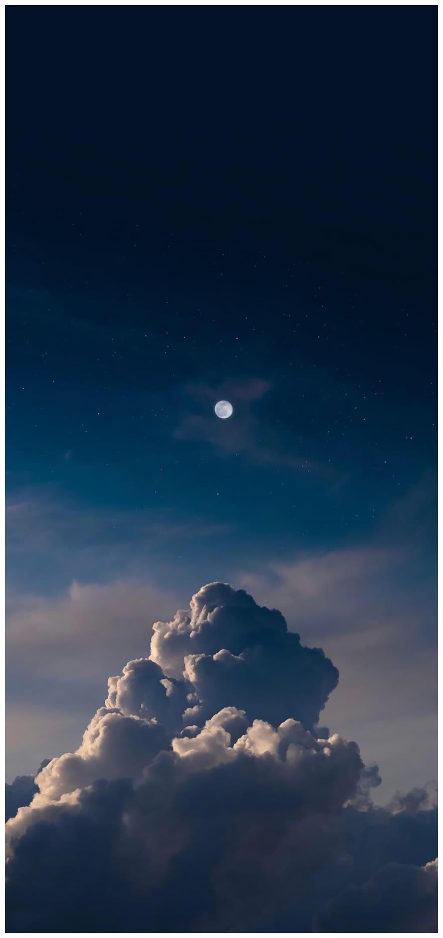 简约时尚全面屏壁纸