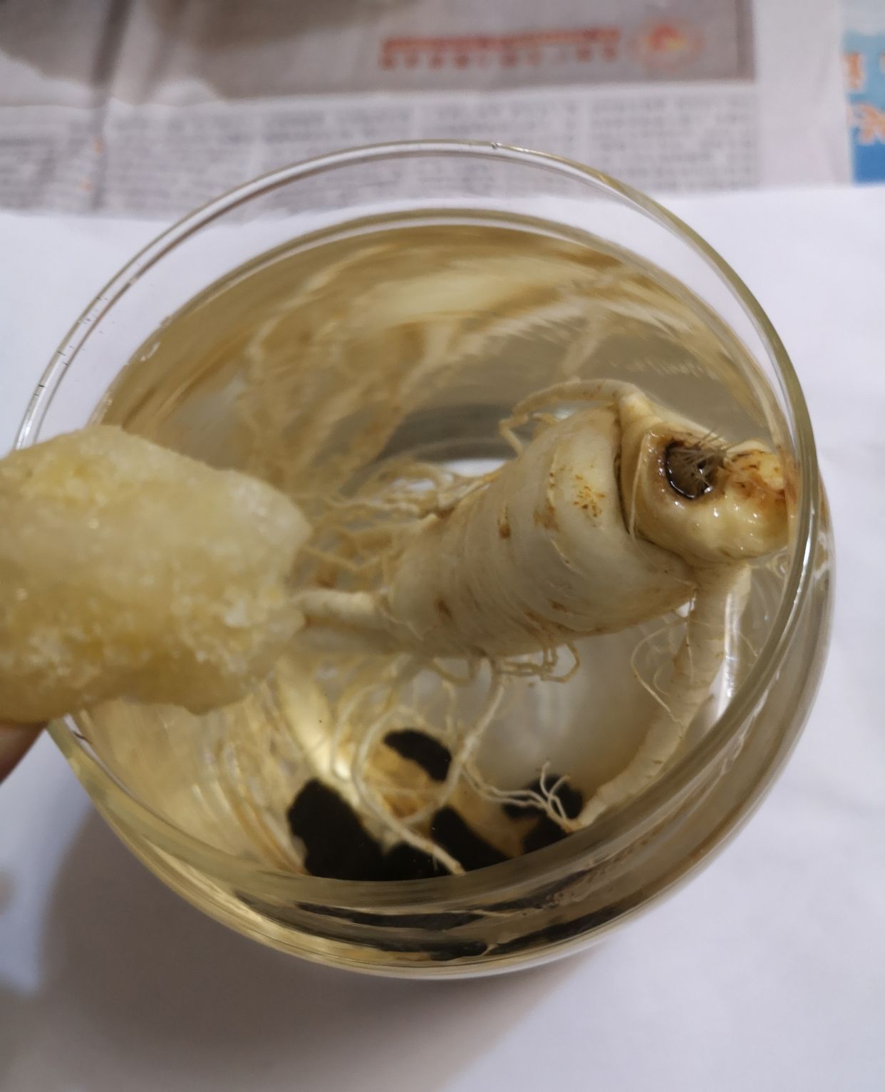 在家自己泡人参枸杞地黄酒