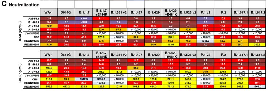 科学家发现超级抗体，可免疫变异新冠病毒，或是终结疫情的关键？休闲区蓝鸢梦想 - Www.slyday.coM