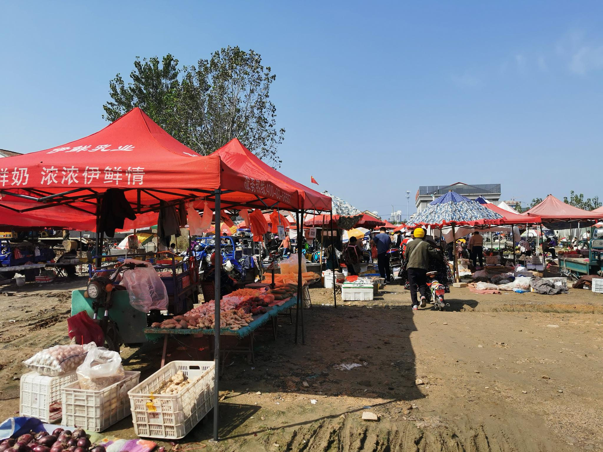 苏北农村大集开集,很多农户赶集不忘戴口罩为他们点赞__财经头条