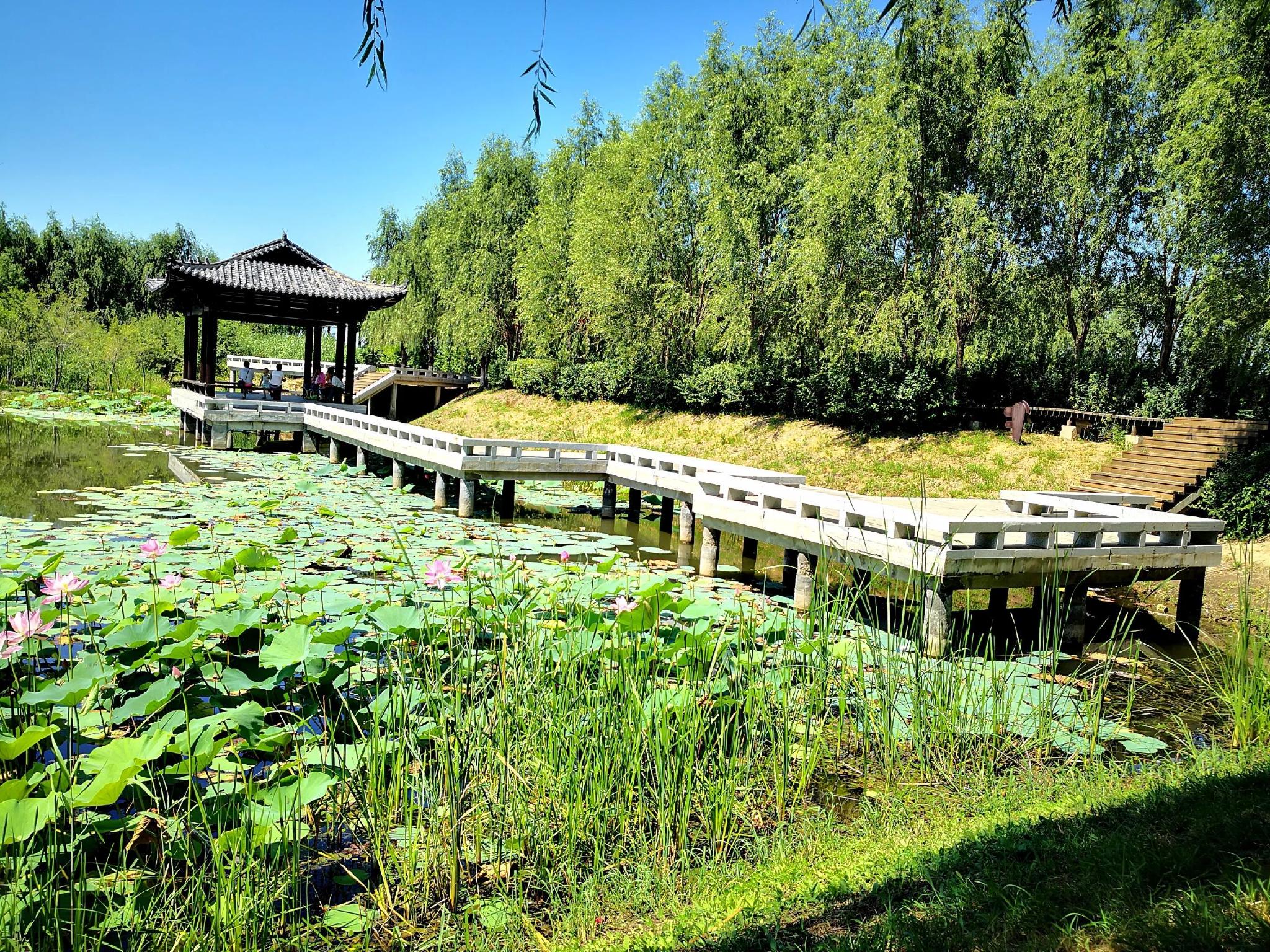 吉林夏季避暑好去处 北湖湿地公园旅游攻略 免费语音导游