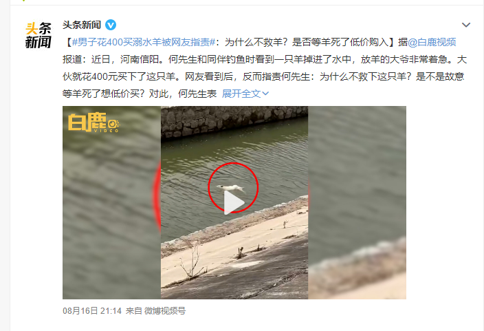 男子花400买溺水羊被网友指责：为什么不救羊？等羊死了低价购入休闲区蓝鸢梦想 - Www.slyday.coM