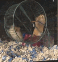 神回复：“年轻人不送外卖，不进工厂那该干什么去？”休闲区蓝鸢梦想 - Www.slyday.coM