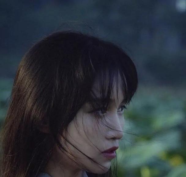 由韩国下架制作的李子柒端午节视频不能接受别人的优势