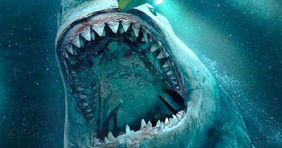 巨齿鲨长啥样图片