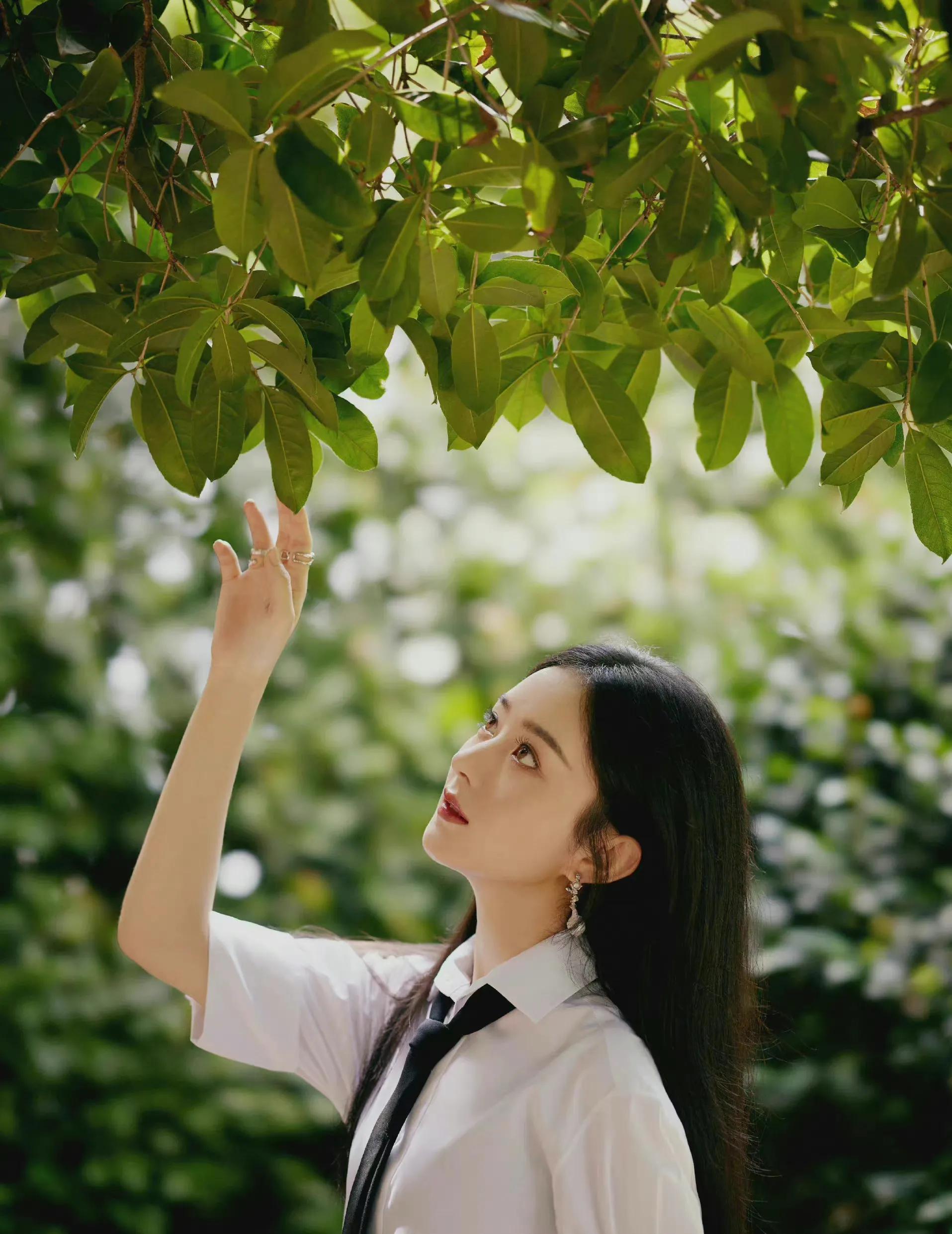 赵丽颖,可爱迷人,特别小清新!__财经头条