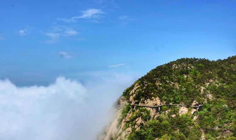 再遇云海景观！山东第一大山，初夏时节现高山独有自然风光
