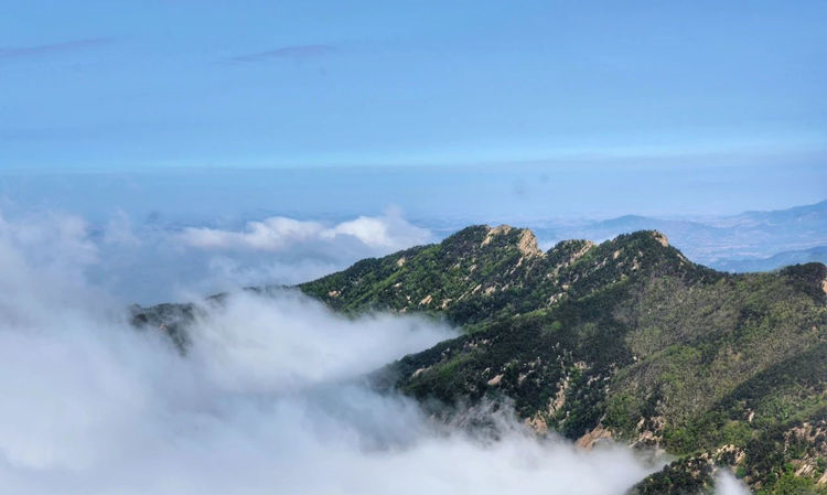 再遇云海景观！山东第一大山，初夏时节现高山独有自然风光