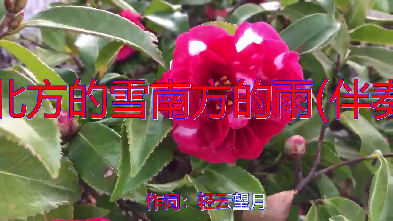 红陌贾富营的《北方的雪南方的雨(伴奏)》,余音缭绕,惊艳全场