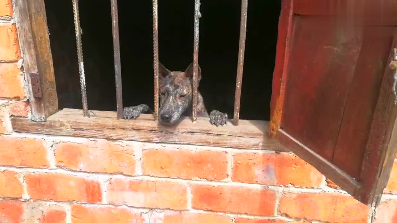 可能只有军迷才知道