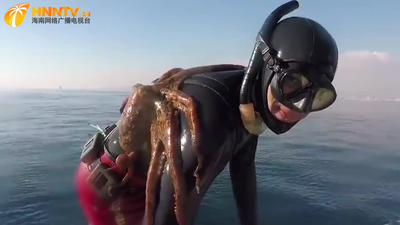 男子海底潜水,竟被章鱼缠在了身上,还怎么都弄不下去