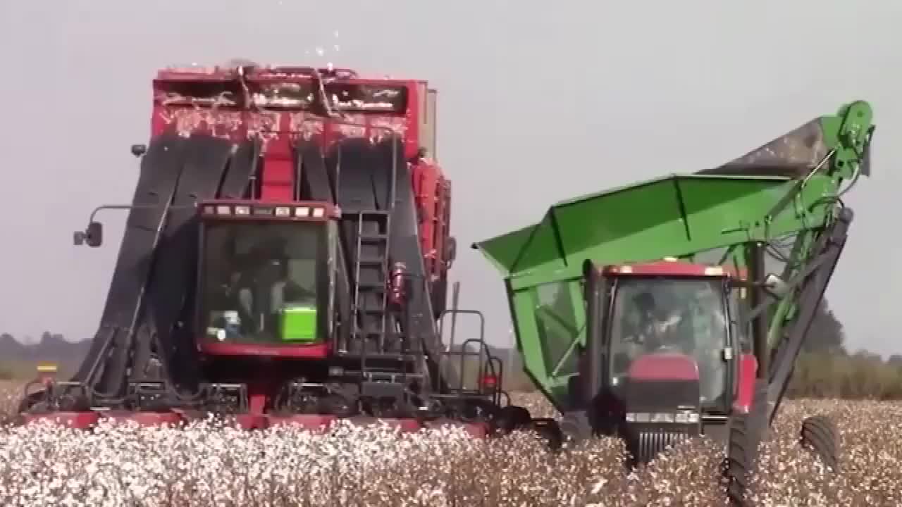 大型棉花收割机,那可是与众不同