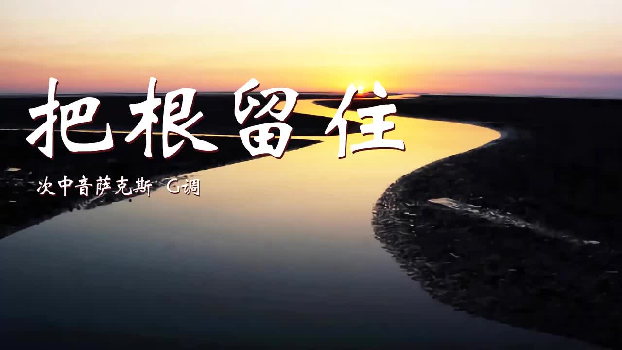 怀旧金曲《把根留住》,萨克斯演奏音色太美了,难忘的经典老歌!