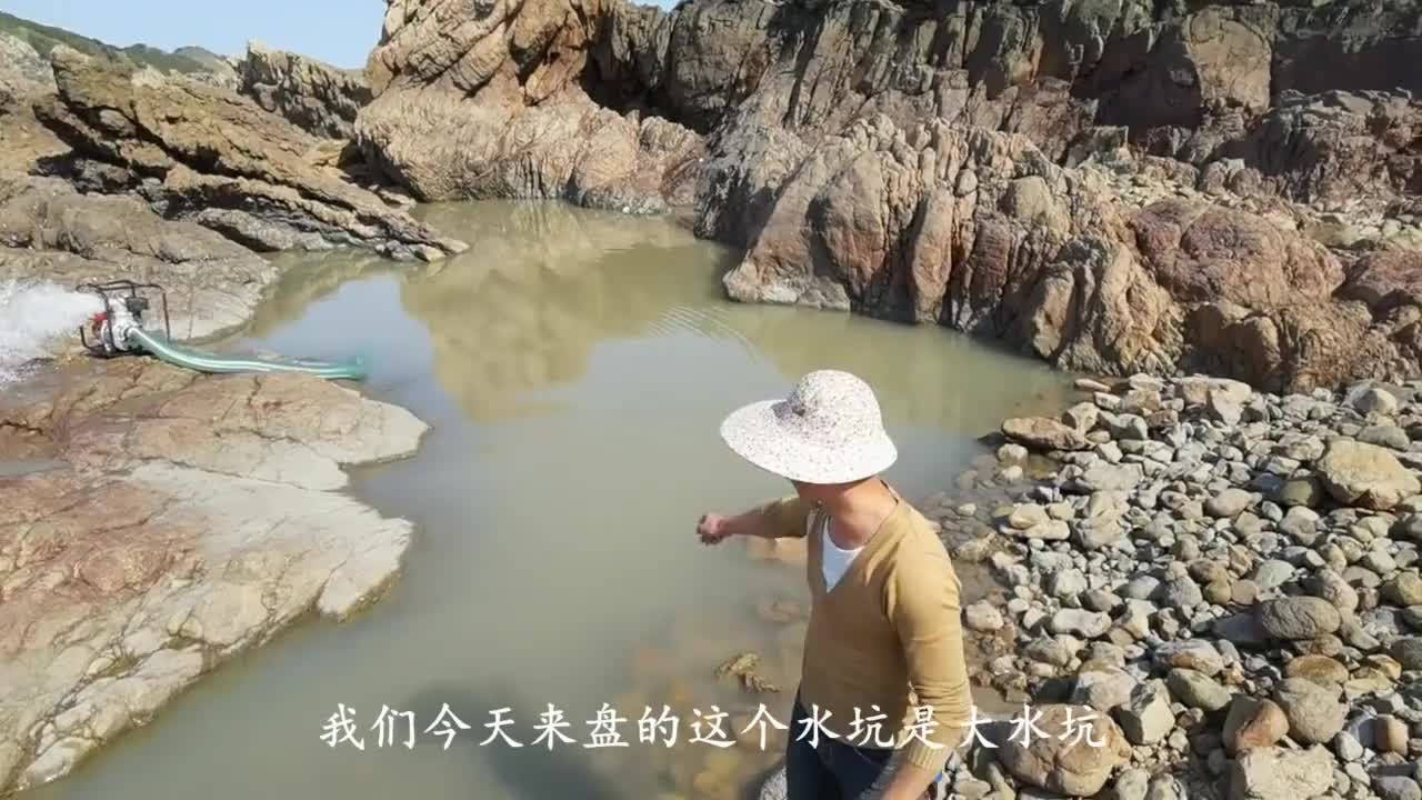赶海小伙盘巨型水坑坑底海货成双成对小伙笑的嘴巴都歪了