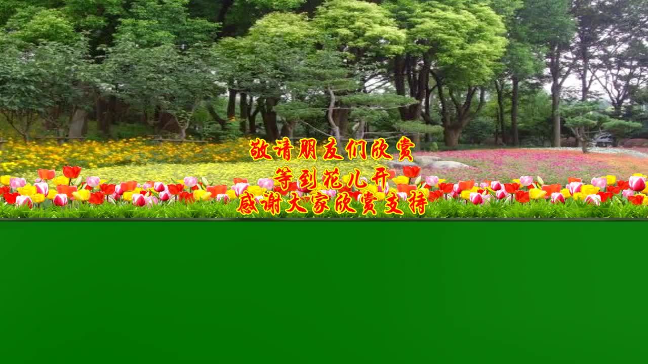 广场舞《等到花儿开》歌声优美动听,简单好看又好学