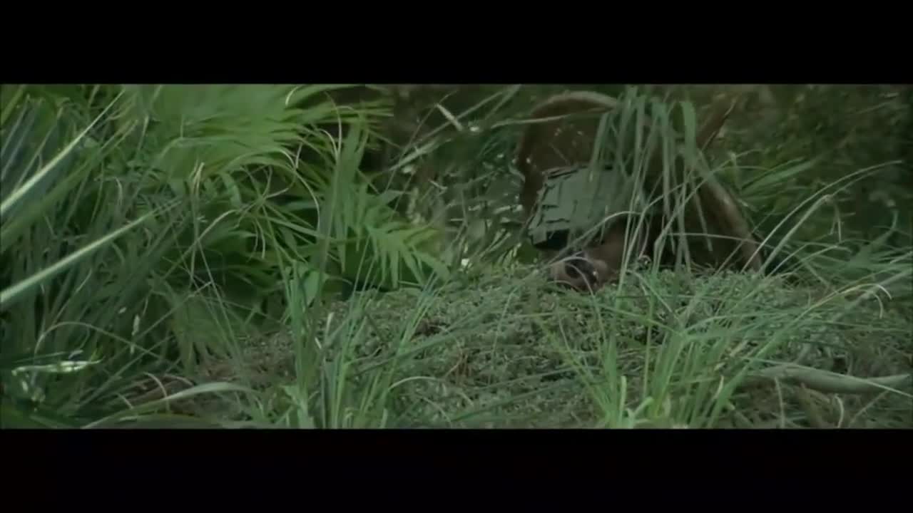 这才叫经典丛林越战电影,好片不解释,就是看过瘾