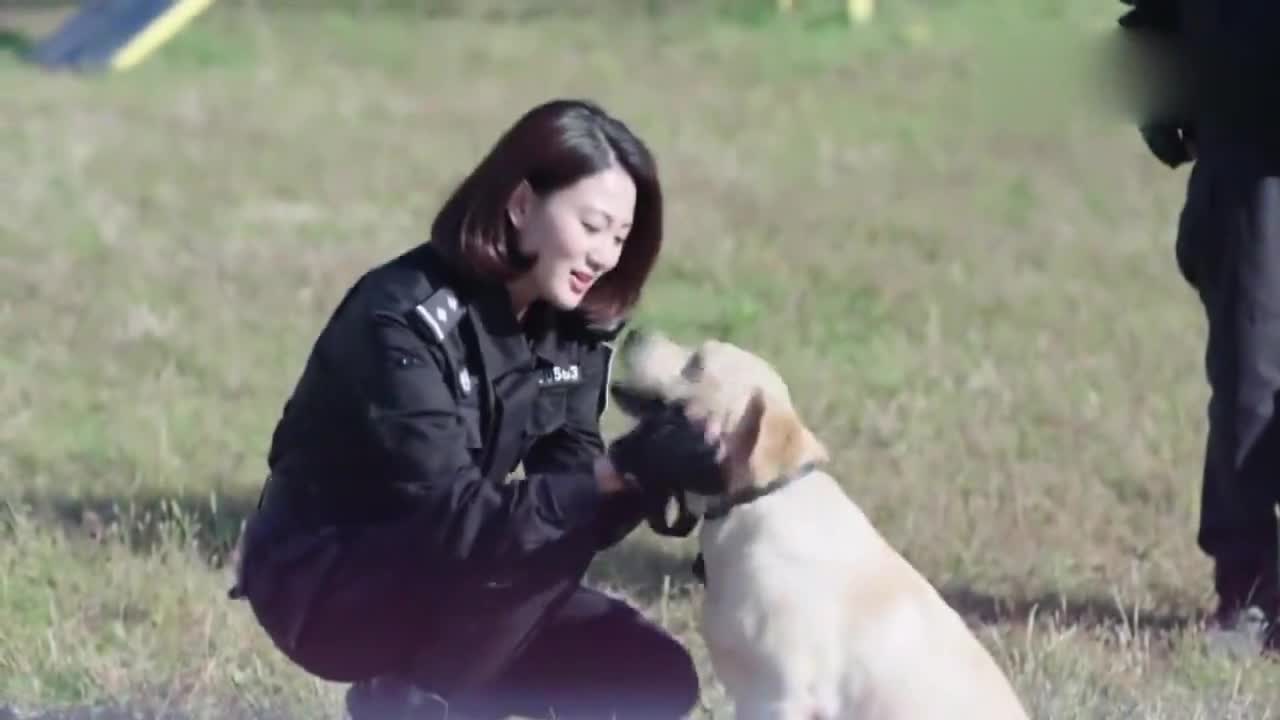 警花与警犬:樱桃显露了自己的犬王气质,梁老看见之后,赞不绝口