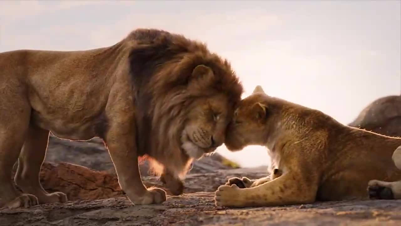 【狮子王4k_60帧】狗粮出吃完了,再来吃狮子粮