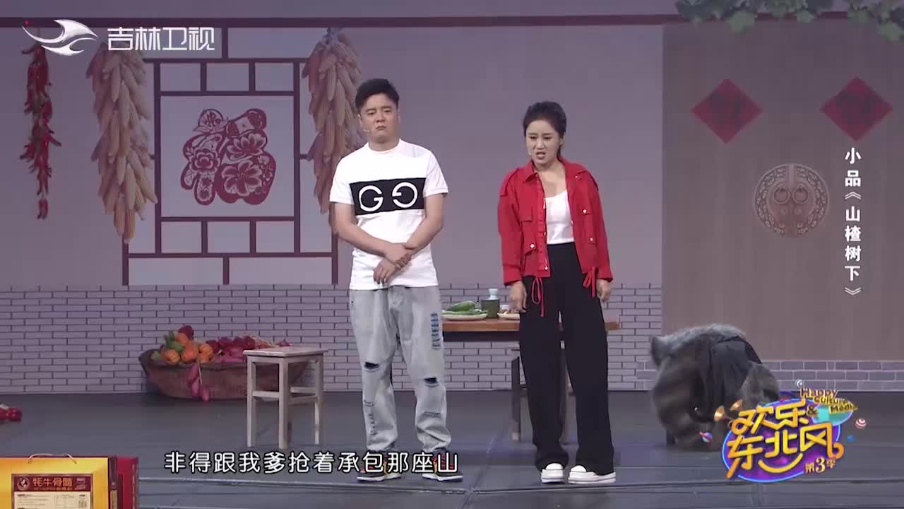 崔大笨编谎糊弄丈人,白鸽:傻子才信,丈人:我信了!