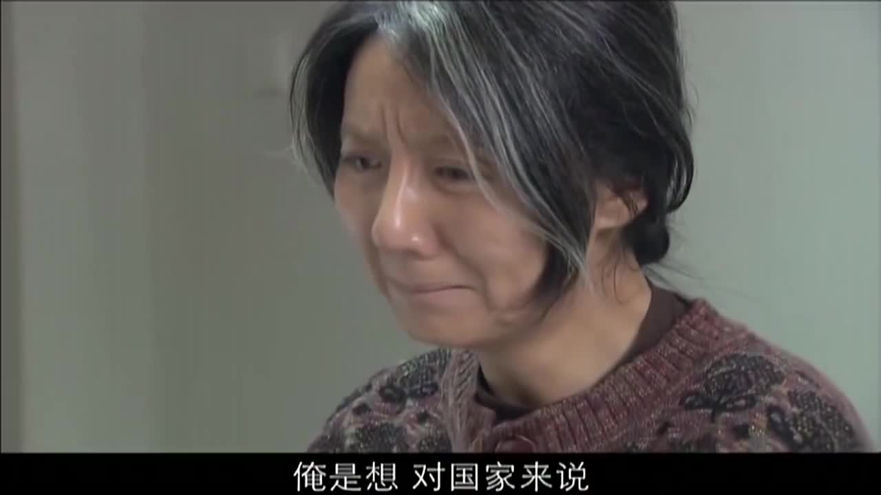 叶落长安:玉兰在吕林走之前包了他最爱吃的羊肉馅水饺,可怜牡丹