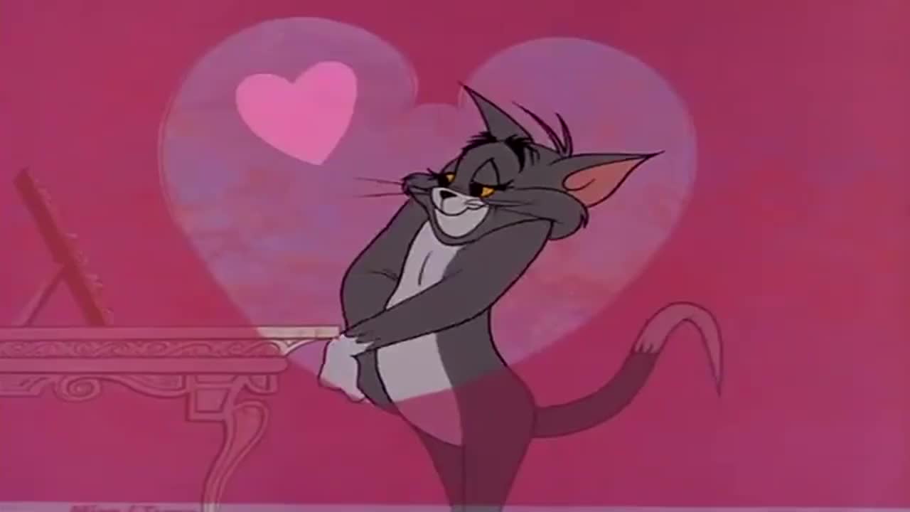 00:00 04:59 04:59 为您推荐: 猫和老鼠是友情也是爱情 为您推荐