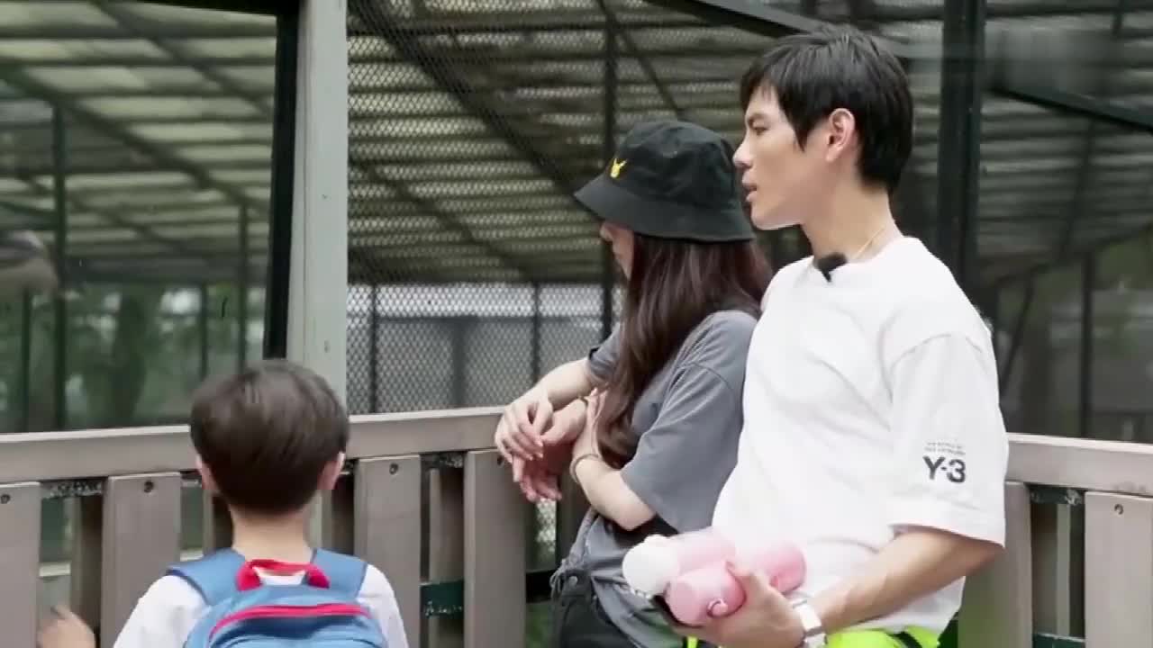 我家小两口郭碧婷和向佐讨论给亦航生的弟弟让他们一起读书