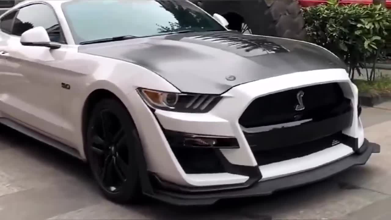 我看谁再敢管我的车叫野驴