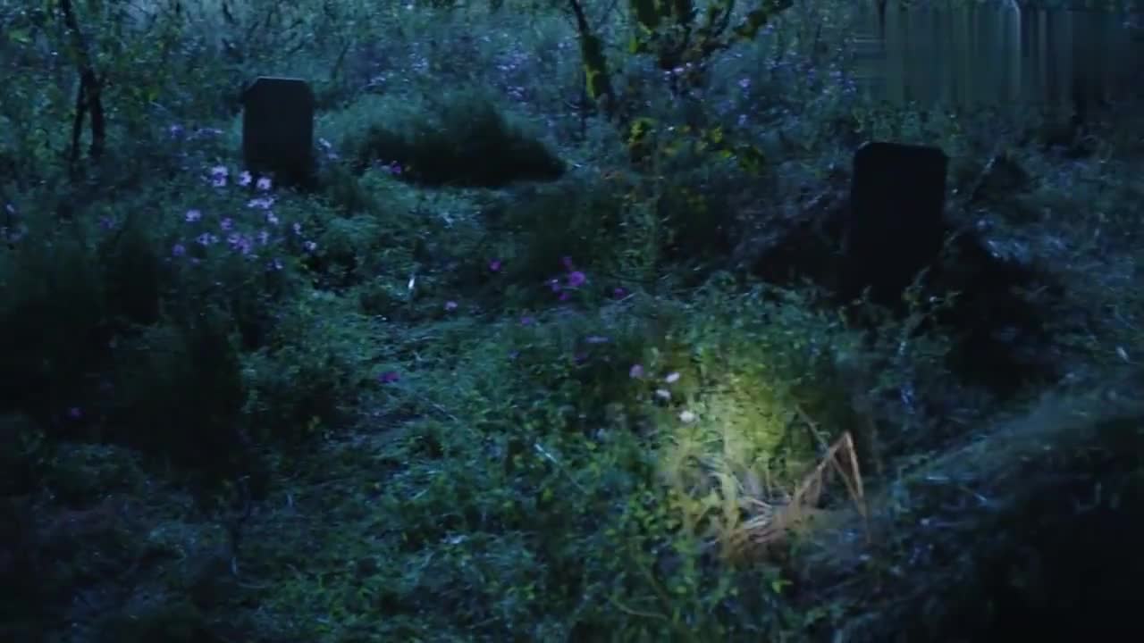 我们的四十年冯都和小伙晚上去坟地冯都觉得荒郊野岭瘆得慌