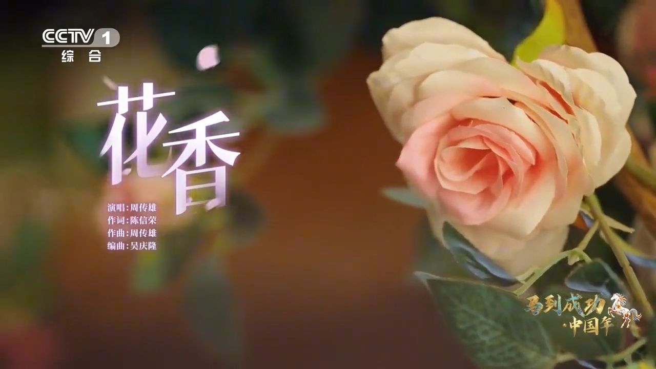 周传雄《花香》，这首歌太有年味啦
