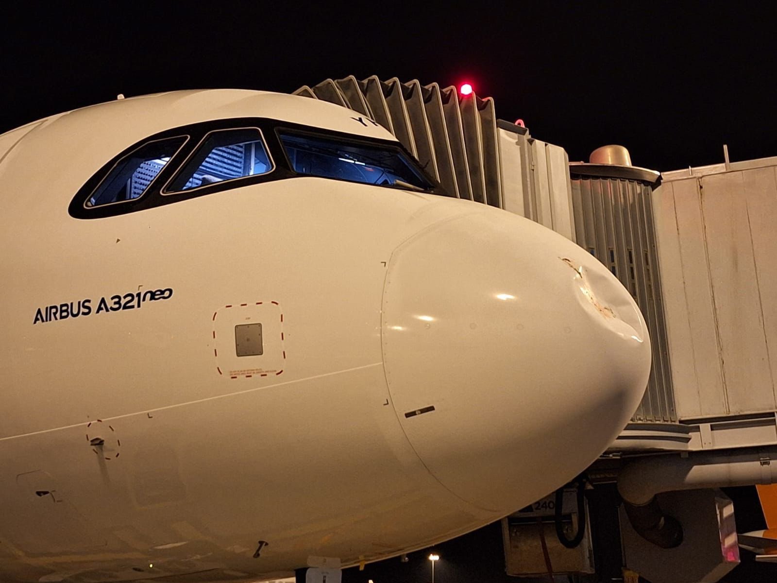 一架a321-251nx飛機機頭天線罩被鳥擊中.|天線罩|機頭|鳥_新浪新聞