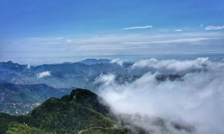 再遇云海景观！山东第一大山，初夏时节现高山独有自然风光