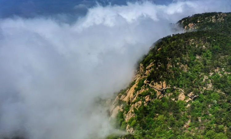 再遇云海景观！山东第一大山，初夏时节现高山独有自然风光