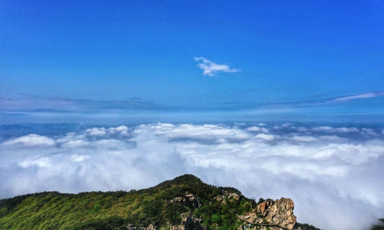 再遇云海景观！山东第一大山，初夏时节现高山独有自然风光