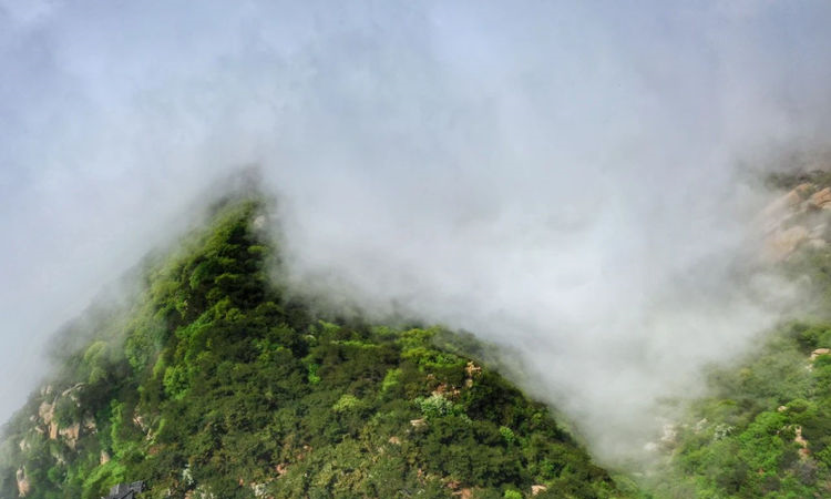 再遇云海景观！山东第一大山，初夏时节现高山独有自然风光