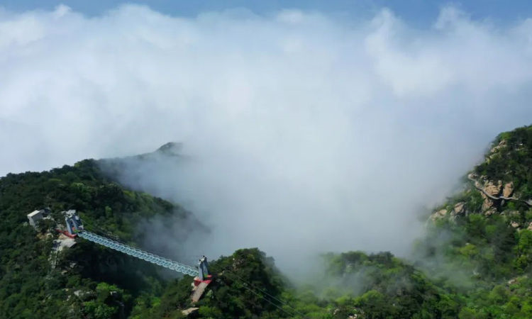 再遇云海景观！山东第一大山，初夏时节现高山独有自然风光