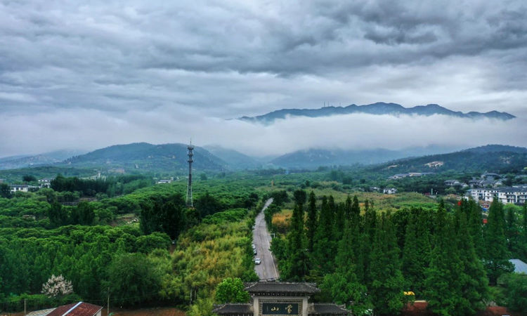 再遇云海景观！山东第一大山，初夏时节现高山独有自然风光