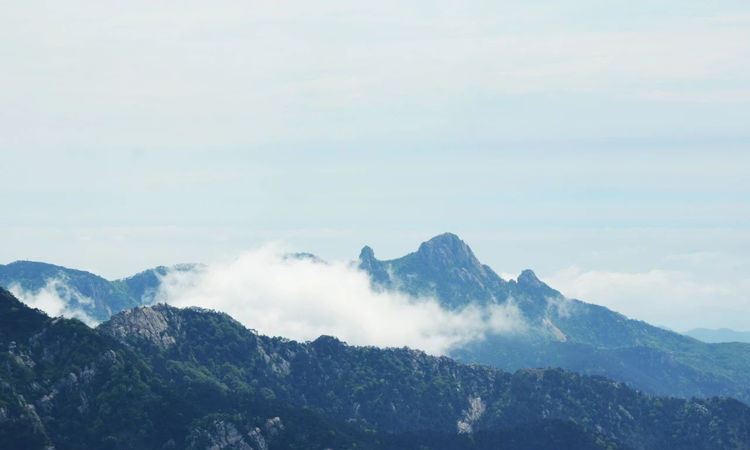 再遇云海景观！山东第一大山，初夏时节现高山独有自然风光