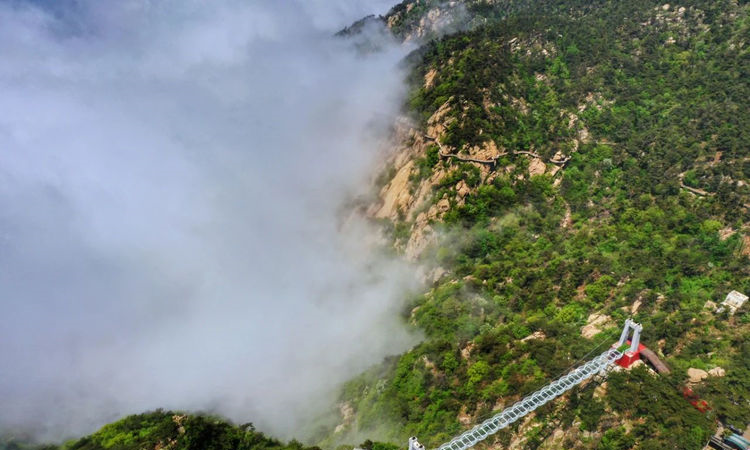 再遇云海景观！山东第一大山，初夏时节现高山独有自然风光