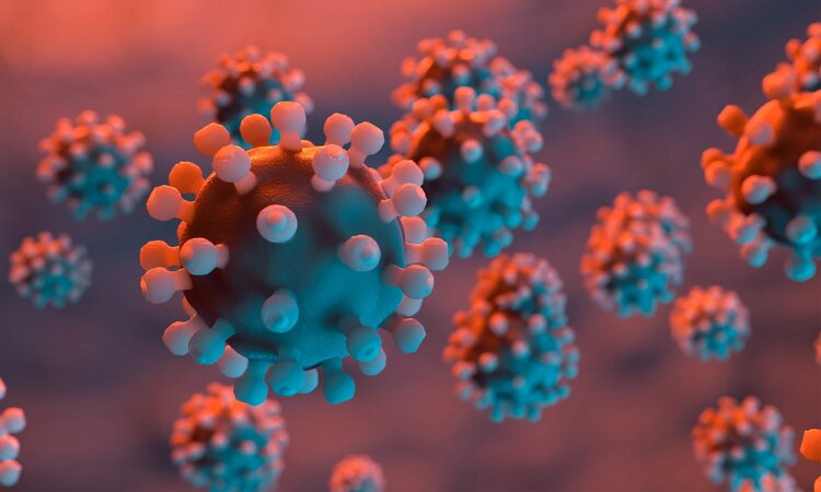 科学家发现超级抗体，可免疫变异新冠病毒，或是终结疫情的关键？休闲区蓝鸢梦想 - Www.slyday.coM