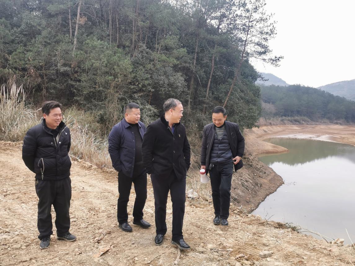 杨波在阳新县龙港镇检查水利补短板工程项目建设和疫情防控工作