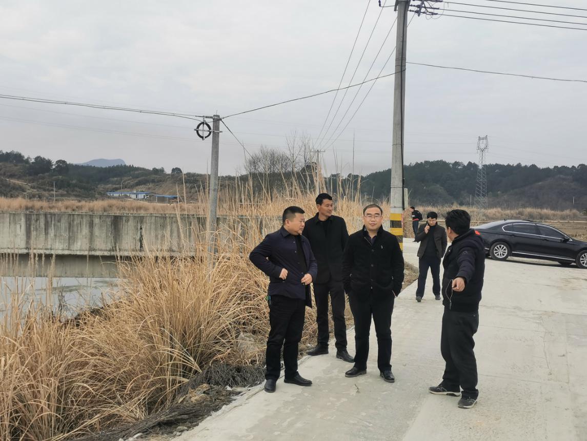 杨波在阳新县龙港镇检查水利补短板工程项目建设和疫情防控工作