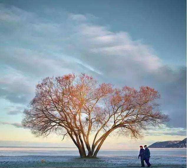 李商隐38岁经历妻子去世,还没见最后一面,一首悼亡诗让人落泪休闲区蓝鸢梦想 - Www.slyday.coM 李商隐38岁经历妻子去世,还没见最后一面,一首悼亡诗让人落泪休闲区蓝鸢梦想 - Www.slyday.coM