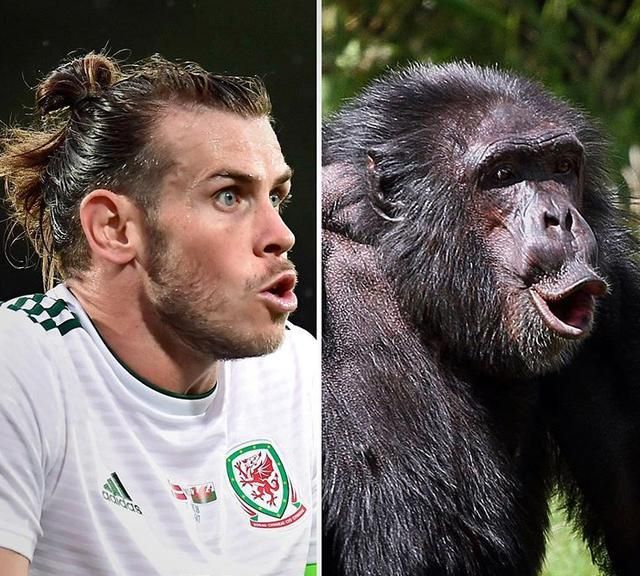 恶搞足球明星表情包,贝尔,厄齐尔,苏亚雷斯,佩佩等球星皆上榜