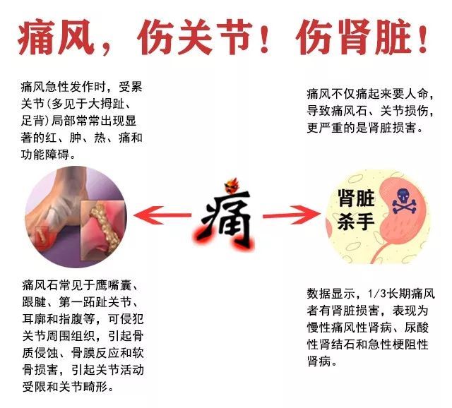 尿酸到底是什么?为什么这么多人会得高尿酸?我们又该如何更好的控制好