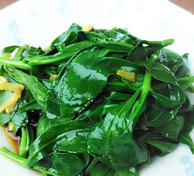 野地里的"救心菜"由于营养比牛奶高,成为1种主妇喜爱的盆栽