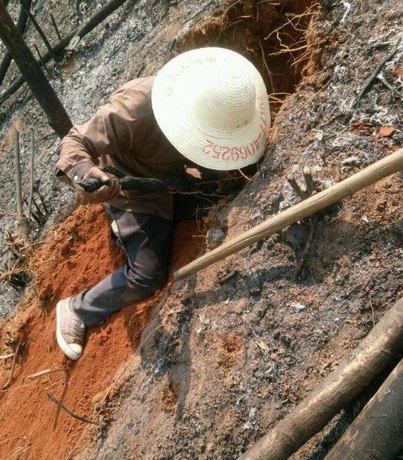 农村大爷上山挖树桩,却意外挖出个稀罕玩艺儿